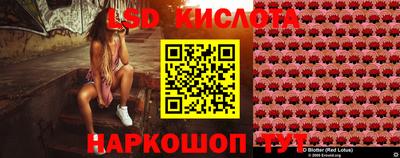 spice Камышлов