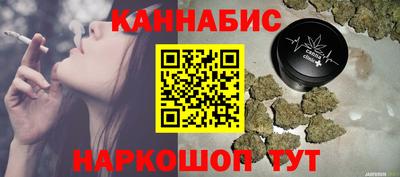 spice Камышлов