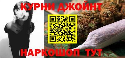spice Камышлов