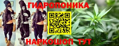 spice Камышлов