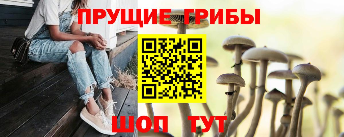 Псилоцибиновые грибы прущие грибы  Усинск 