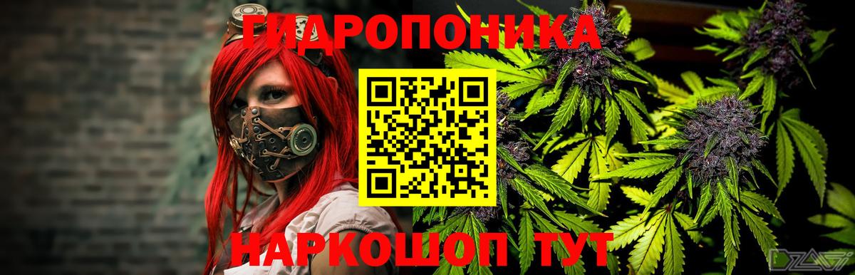 Шишки марихуана планчик  Вход с VPN  Усинск  Каннабис марихуана  Бошки марихуана Ganja 